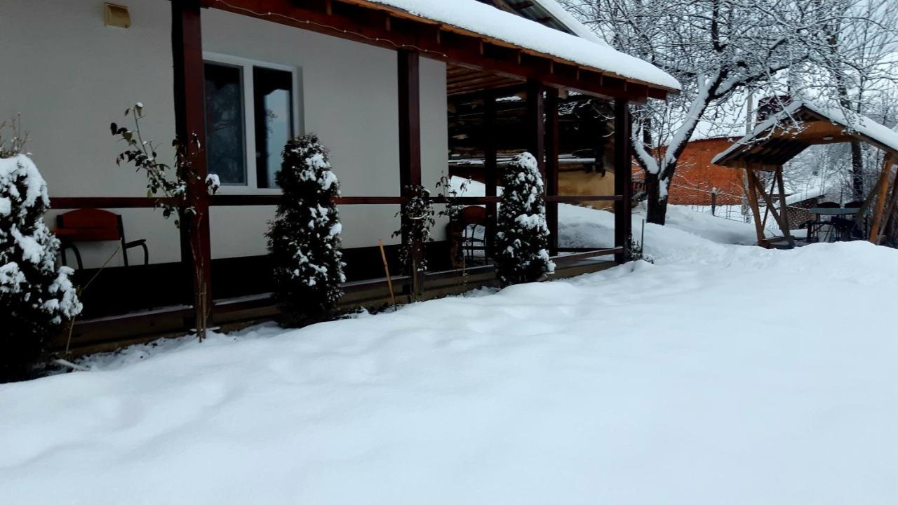 Dacha Podobovets 127 Hotel Bagian luar foto