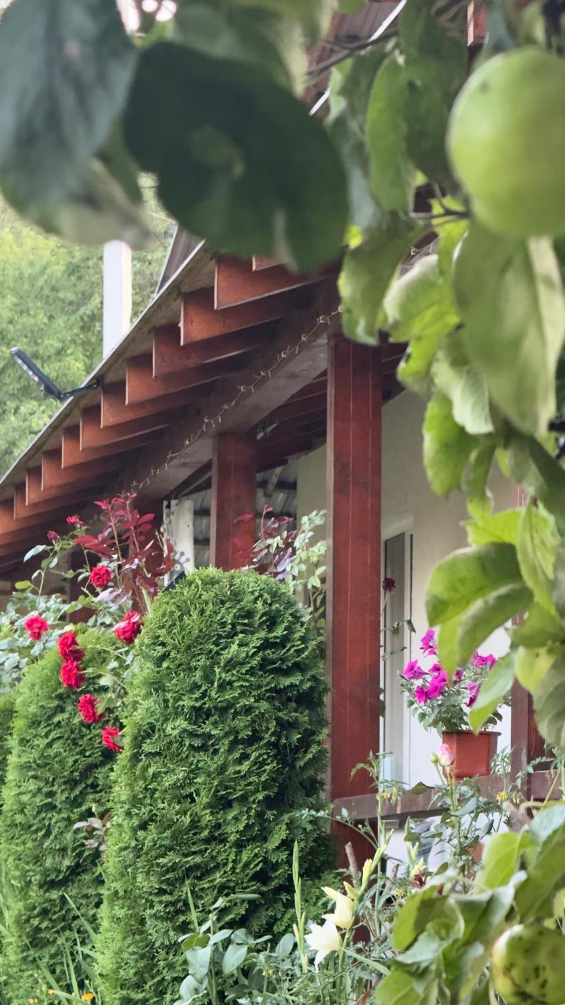 Dacha Podobovets 127 Hotel Bagian luar foto